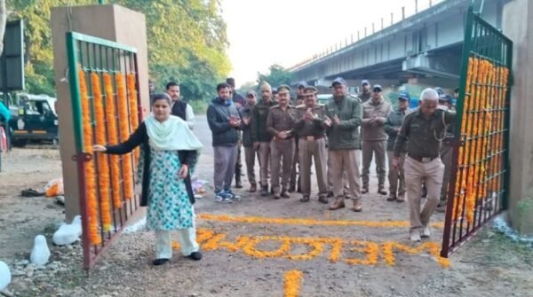 राजाजी टाइगर रिज़र्व में सफारी सीजन शुरू, वन्यजीव प्रेमियों के बीच खासा लोकप्रिय